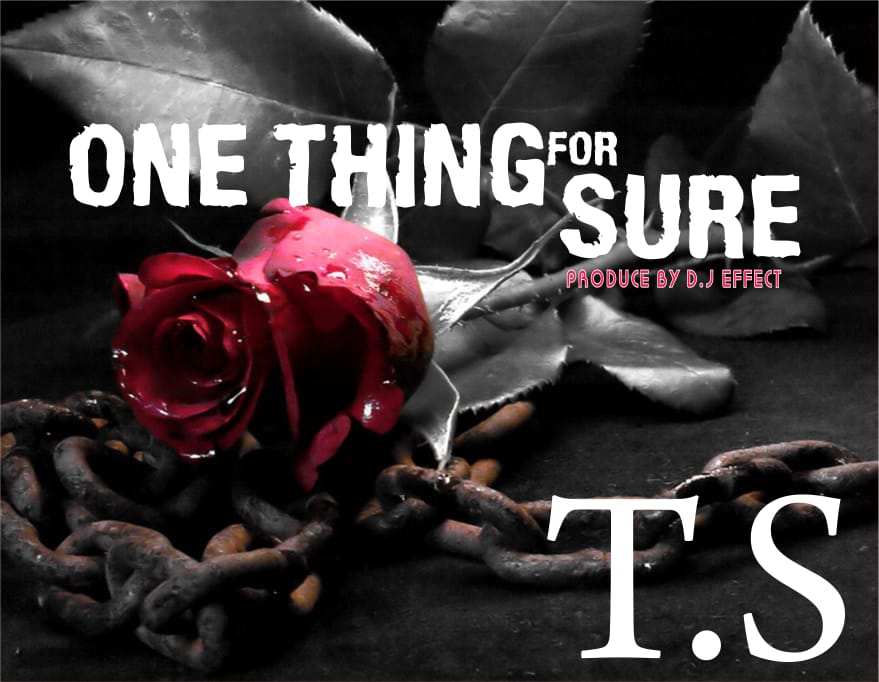 MUSIC: TS Solarin – One Thing For Sure (Prod.By Dj Effect)