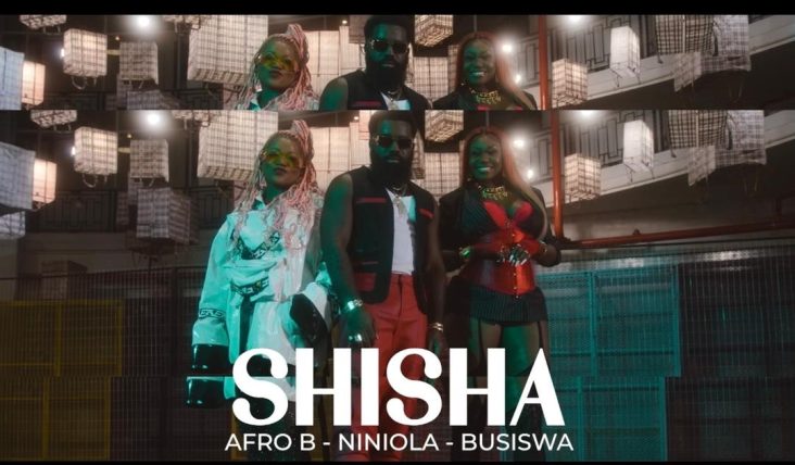 Afro B Shisha ft. Niniola, Busiswa mp4 Download 