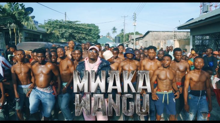 Harmonize Mwaka Wangu Mp3 Download