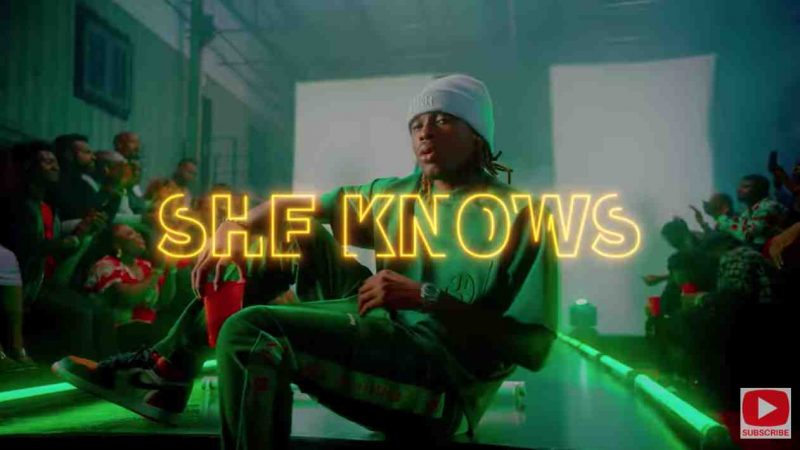 HarrySong – She Knows feat. Olamide x Fireboy DML Mp4 Download 