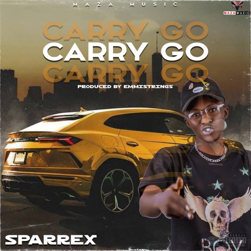 Sparrex Carry Go Mp3 Download 