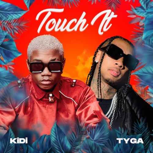 KiDi Touch It (Remix) ft. Tyga Mp3 Download 