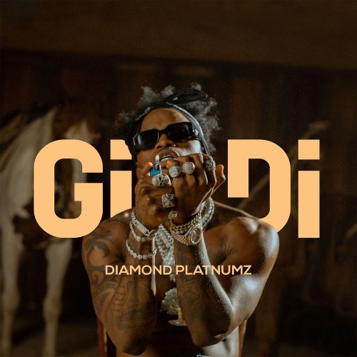 Diamond Platnumz Gidi Mp3 Download 