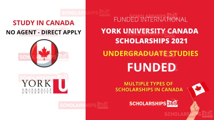 Free Schoolship at York University