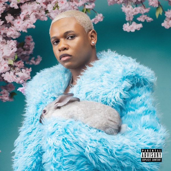 Boy Spyce Dreams Mp3 Download