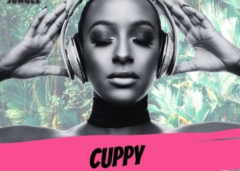 DJ Cuppy Party In The Jungle Mixtape Mp3 Download
