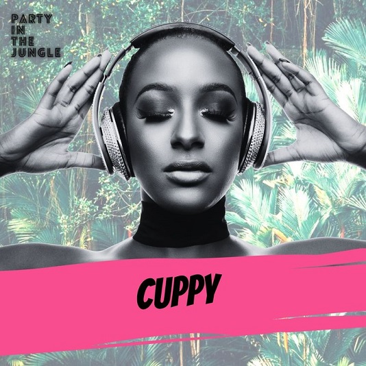 DJ Cuppy Party In The Jungle Mixtape Mp3 Download 