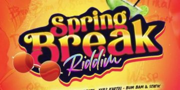 Vybz Kartel Money Bag Mp3 Download