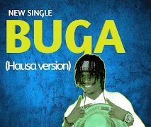 Purity Buga (Hausa Version) Mp3 Download