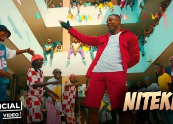 Alikiba Niteke ft. Blaq Diamond Mp4 Download