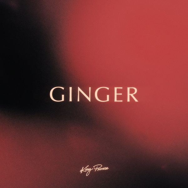 King Promise Ginger Mp3 Download