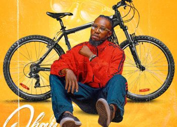 Mickey De Viper Okay Mp3 Download