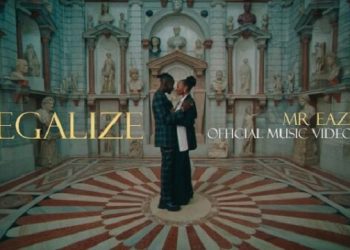 Mr Eazi Legalize Mp4 Download
