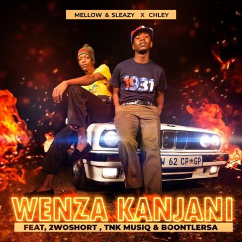 Mellow & Sleazy Wenza Kanjani ft. Chley, 2woshort, TNK MusiQ & Boontle RSA Mp3 Download 