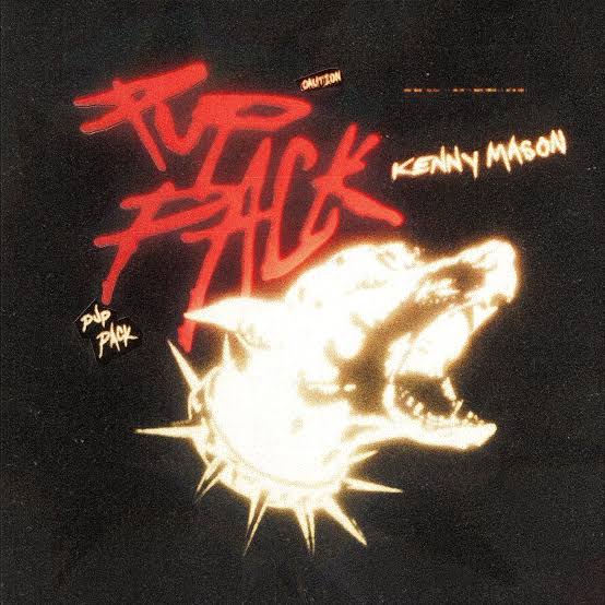 Kenny Mason PUP PACK EP Zip Download 