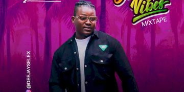 DJ Selex Summer Vibes Mixtape Mp3 Download