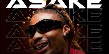DJ Selex Best of Asake Mixtape Mp3 Download