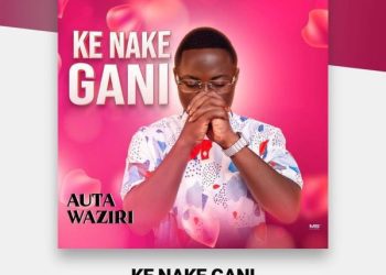 Auta Waziri KE NAKE GANI