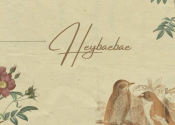 Tee Weirdo Heybaebae Mp3 Download