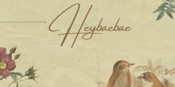 Tee Weirdo Heybaebae Mp3 Download