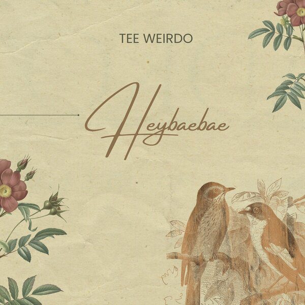 Tee Weirdo Heybaebae Mp3 Download 