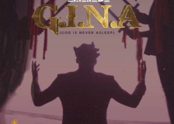 Amerado G.I.N.A Zip Download