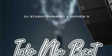 FREE BEAT: DJ Sturmy Paparazy ft Mathew D – Igbo Nla Beat