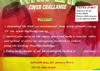 Mickey De Viper "Wahlai" Cover Challenge Download Mp3 File (Full Details)