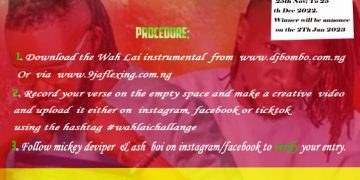 Mickey De Viper "Wahlai" Cover Challenge Download Mp3 File (Full Details)