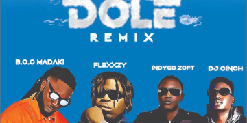 DOLE Remix mp3 image