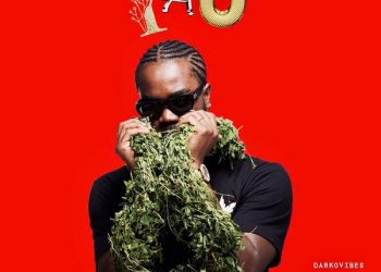 Darkovibes Yao Mp3 Download