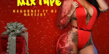 MIXTAPE: NGT Monthly Mix December 2022 ft DJ Navijay (End Of The Year Mixtape) 1 NGT Monthly Mix December 2022 ft DJ Navijay (End Of The Year Mixtape) mp3 Download