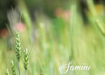 Samini Abundance Mp3 Download