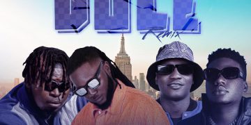 Fl3xxzy Ft BOC Madaki, Dj Cinch, Indygo Zoft Dole (Remix) Mp4 Download