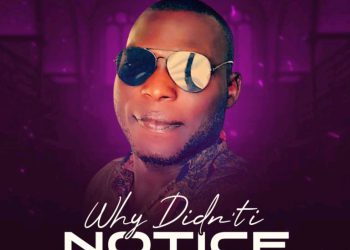 Why I Didn’t Notice By Peter Eugene Mp3 Download
