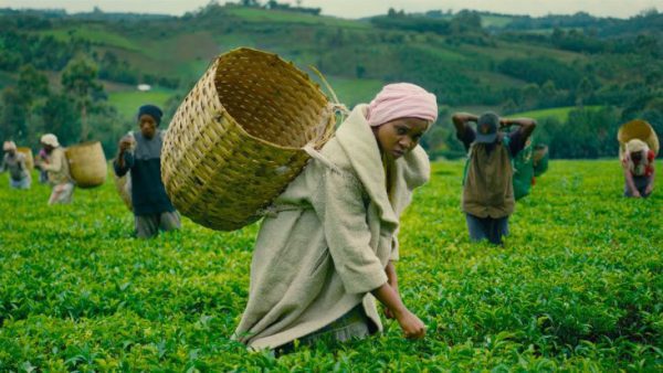 Zuchu Napambana Mp4 Download