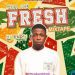 Kool DJ Fresh Call Me Fresh Mixtape Mp3 Download