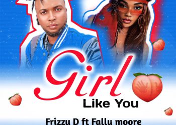 Frizzy D Girl Like You Ft. Fally Moore Mp3 Download