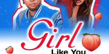Frizzy D Girl Like You Ft. Fally Moore Mp3 Download