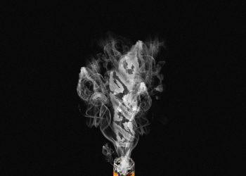 Son of Jigawa Izzz Mp3 Download