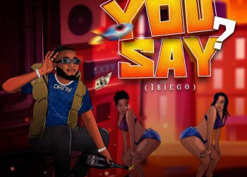 Danypreez You Say? (Isiego) Mp3 Download