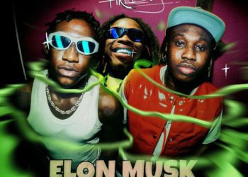 Shallipopi Elon Musk (Remix) ft. Zlatan, Fireboy DML Mp3 Download