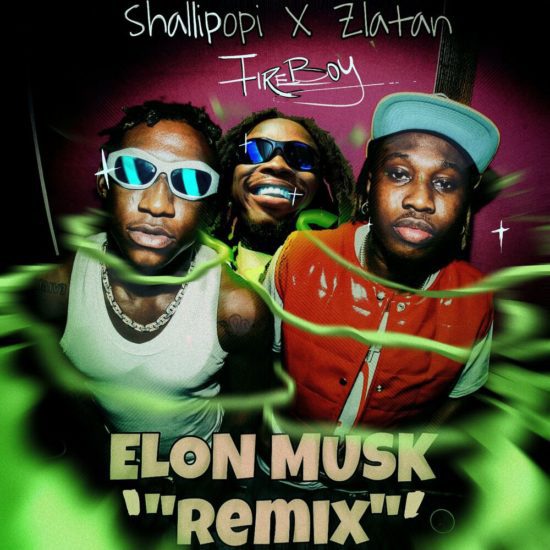 Shallipopi Elon Musk (Remix) ft. Zlatan, Fireboy DML Mp3 Download 