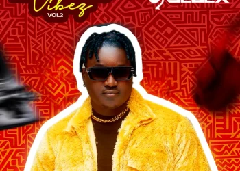 DJ Selex Amapiano Vibez Mixtape (Vol. 2) Mp3 Download