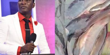 News: Nigerians curious as Prophet Jeremiah Fufeyin reveals massive fish farm business – Punch Newspapers