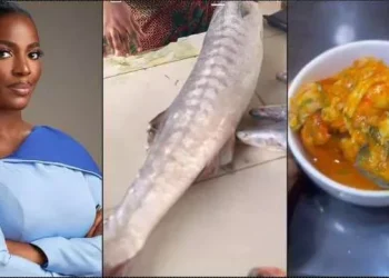 Someone salary for a meal" - Hilda Baci causes a stir with soup made with N60K fish