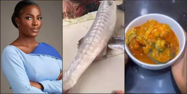 Someone salary for a meal" - Hilda Baci causes a stir with soup made with N60K fish 