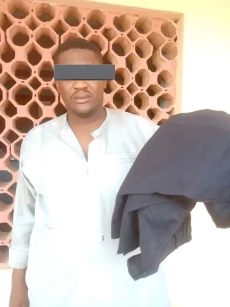 Fake DSS officer arrested for job scam in Jigawa