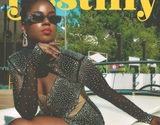 MzVee Destiny Mp3 Download