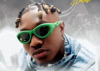 DJ Selex Best of Zlatan Mixtape Mp3 Download